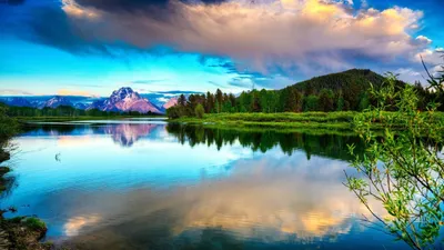 Обои природа, дерево, поле, луг, солнечный свет Full HD, HDTV, 1080p 16:9  бесплатно, заставка 1920x1080 - скачать картинки и фото