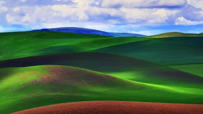 Обои Природа Тропики, обои для рабочего стола, фотографии природа, пейзажи,  пальмы, свисают, пляж, белый, песок, море Обои для рабочего стола, скачать  обои картинки заставки на рабочий стол.