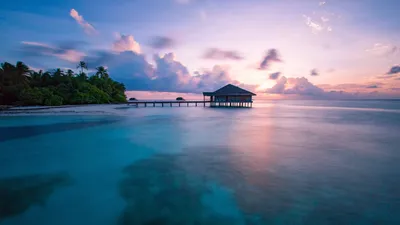 Фон рабочего стола где видно Ultra HD 4K wallpapers, природа, лес, деревья,  трава, растения, фотошоп, Nature, forest, trees, grass, plants, photoshop