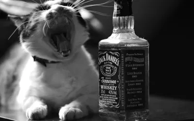Картинка на рабочий стол алкоголь, виски, jack daniels, бутылка 2560 x 1440