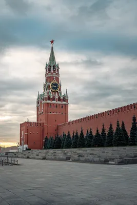 Обои Города Москва (Россия), обои для рабочего стола, фотографии города,  москва , россия, кремль, москва, ночь, ель, стена Обои для рабочего стола,  скачать обои картинки заставки на рабочий стол.