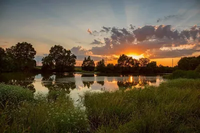Утро в деревне летом - красивые фото