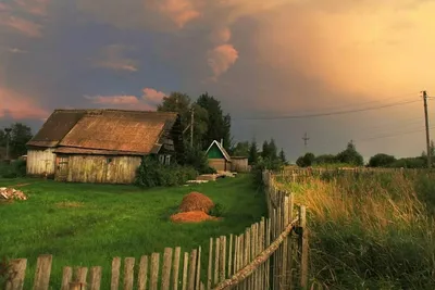 Лето в деревне у бабушки - красивые фото