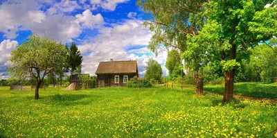 Пейзаж деревни - 76 фото