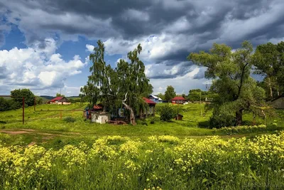 Лето в деревне - красивые фото