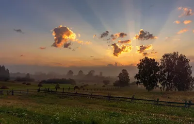 Лето у бабушки, summer, nature, forest, sunset, atmosphere, vibe, закат,  лес | Пейзажи, Закаты, Лето