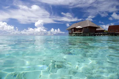 Pearl Waters in the Maldives | Phone Wallpapers