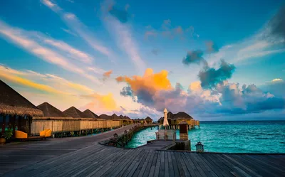 Wallpaper beach_sea Фотообои Раздел beach_sea Номер 335 - fotooboi море,  небо, пальма, остров - заказать