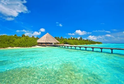 UzNews - Asialuxe Travel объявляет «черную пятницу» со скидками до 50% на  турпакеты на Мальдивы