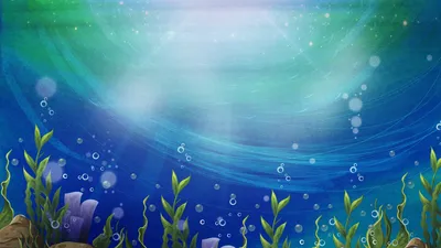 Обои на рабочий стол Съемка морского дна через толщу прозрачной воды, обои  для рабочего стола, скачать обои, обои бесплатно