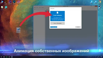 Обои Юмор и Приколы , обои для рабочего стола, фотографии юмор и приколы,  обручальное, кольцо, невеста, фата, свинья Обои для рабочего стола, скачать  обои картинки заставки на рабочий стол.