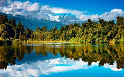 Озеро, лес и горы скачать фото обои для рабочего стола