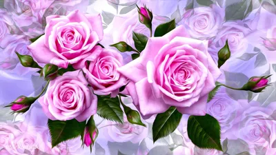 Цветы розы, красные, цветок, букет, природа фото, обои на рабочий стол