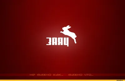 Обои на рабочий стол Пума и его детеныш лежат рядом, by Tambako the Jaguar,  обои для рабочего стола, скачать обои, обои бесплатно