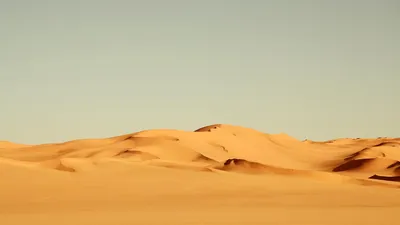 Скачать обои на рабочий стол бесплатно без регистрации в формате 2560x1600.  Горы в пустыне. Пустыни, песок, барханы, горы, камни, дерево.