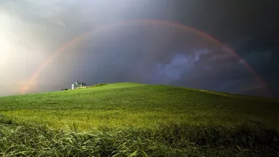 Обои Радуга, яркие цвета, разноцветные краски на рабочий стол