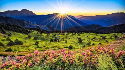 Качественные обои природа для рабочего стола 1920x1080, скачать обои  высокого качества