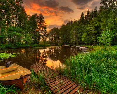 Фон рабочего стола где видно лето, природа, цветы, поле, макро, красивые  обои, Summer, nature, flowers, field, macro, beautiful wallpaper