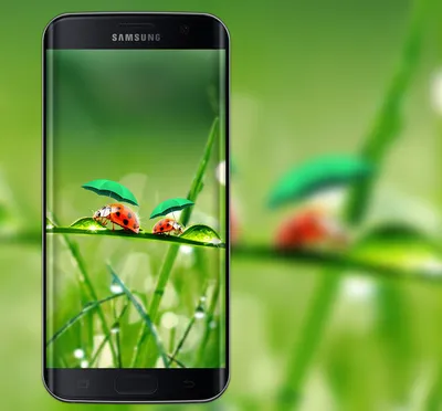 Чехол Накладка Бампер на Samsung Galaxy J7 Neo J701F Разноцветная Чешуя Арт  Самсунг Галакси Ж7 Нeo Ж701Ф — Купить на BIGL.UA ᐉ Удобная Доставка  (1652109221)
