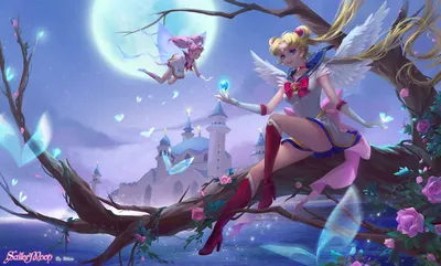 Фотография Sailor Moon Посохи Аниме молодая женщина