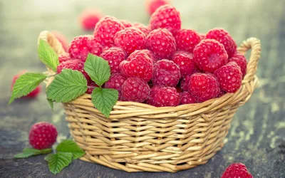 Обои Природа Луга, обои для рабочего стола, фотографии природа, луга, горы,  луг, трава, цветы, лето Обои для рабочего стола, скачать обои картинки  заставки на рабочий стол.