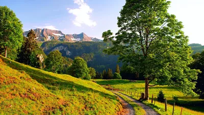 Обои на рабочий стол Город Базель / Basle на реке Рейн, Швейцария /  Switzerland, обои для рабочего стола, скачать обои, обои бесплатно