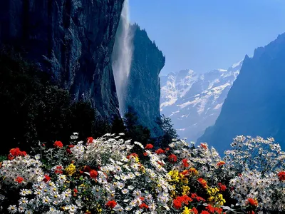 Обои Lauterbrunnen,Switzerland Города Лаутербруннен (Швейцария), обои для рабочего  стола, фотографии lauterbrunnen, switzerland, города, - улицы, площади,  набережные Обои для рабочего стола, скачать обои картинки заставки на рабочий  стол.