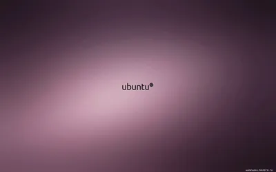 compizomania: Установить динамические обои рабочего стола Bit Day в Ubuntu