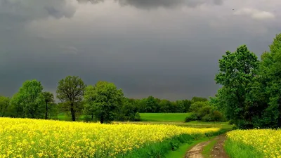 Скачать обои \"Весна\" на телефон в высоком качестве, вертикальные картинки \" Весна\" бесплатно