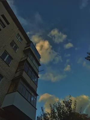 Картинки Лето Природа река дерево Времена года