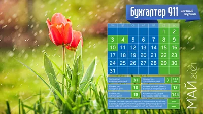 Модные обои. Май 2011