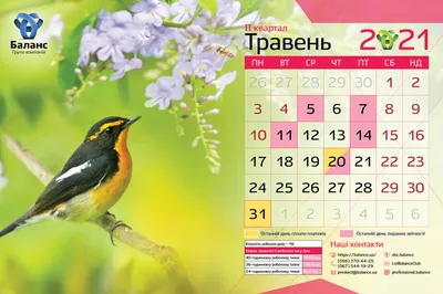 Обои для рабочего стола от Passion.ru: март 2021 - Страсти