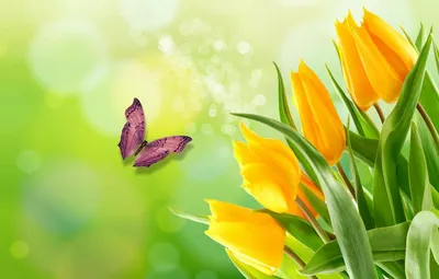 Цветы. Аромат весны (50 обоев) » Смотри Красивые Обои, Wallpapers, Красивые  обои на рабочий стол