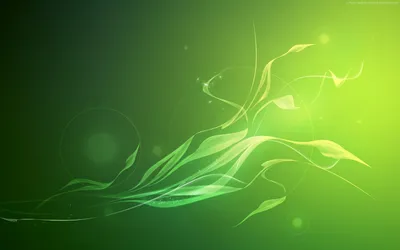 Обои зеленый цвет, green, абстракция на рабочий стол