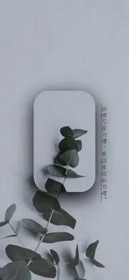 Wallpaper for your phone | Обои, Зеленые обои, Обои на рабочий стол