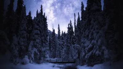 Скачать обои Зима, Тень, Ели, Солнце, Облака, Снег, Пейзаж, Природа,  Свечение, Деревья, Небо, Горы в разрешении 1920x1080 на рабочий стол
