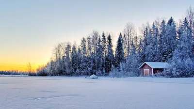 Обои Природа Зима, обои для рабочего стола, фотографии природа, зима, снег,  норвегия, деревья, солнце, мороз, naglestadheia Обои для рабочего стола,  скачать обои картинки заставки на рабочий стол.