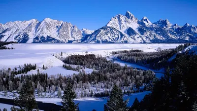 Wallpaper White Snow Covered Trees Beside Lake Under Blue Sky During  Daytime, Background - Download Free Image