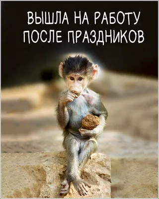 Картинки на работу после праздников фотографии