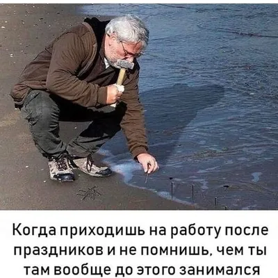 Начался самый хлопотный период года «Давайте уже после новогодних праздников»  - Москвич Mag