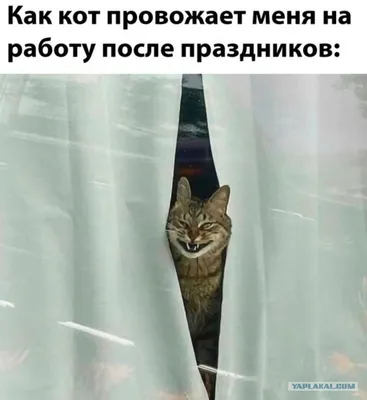 Как эффективно вернуться в рабочий ритм жизни после праздников | ТФОМС  Республики Башкортостан