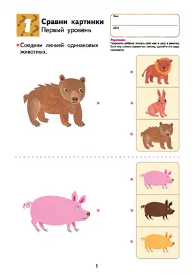 Задания для развития логического мышления ( 1 класс)