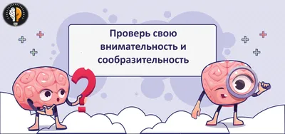 https://dzen.ru/a/YvYHiKm2z1PEhXGQ