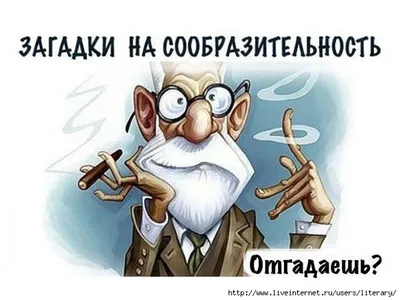 Развивающая тетрадь Логика. Времена года: Развиваем сообразительность  вместе с Конни! / Дошкольное образование. Досуг и творчество детей / Ханна  Сёренсен, Ульрих Вельте | Сёренсен Ханна, Вельте Ульрих - купить с  доставкой по