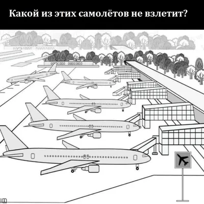 Развиваем логику и сообразительность Александра Соболева - купить книгу  Развиваем логику и сообразительность в Минске — Издательство Эксмо на OZ.by