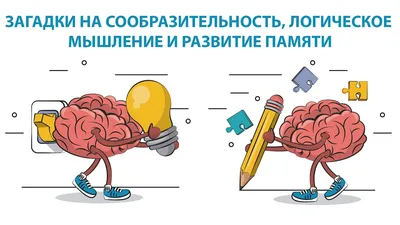 Задачки на сообразительность. Будет интересно! | Тесты здесь | Дзен