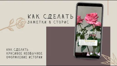 Где брать png для сторис | Кузнецова Мария | Дзен