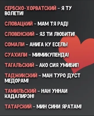 Картинки спасибо по таджикски (46 фото) » Красивые картинки, поздравления и  пожелания - Lubok.club