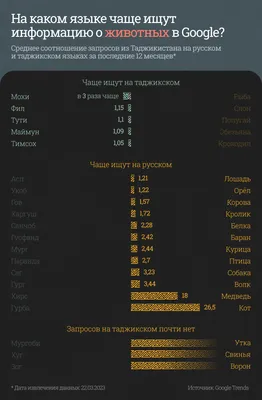 Языковые предпочтения в Таджикистане: что говорят данные поисковых  запросов? - CABAR.asia