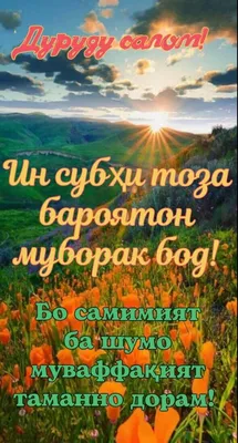 7 интересных фактов о таджикском языке - Читайте на IA-CENTR